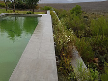 Gallery 29